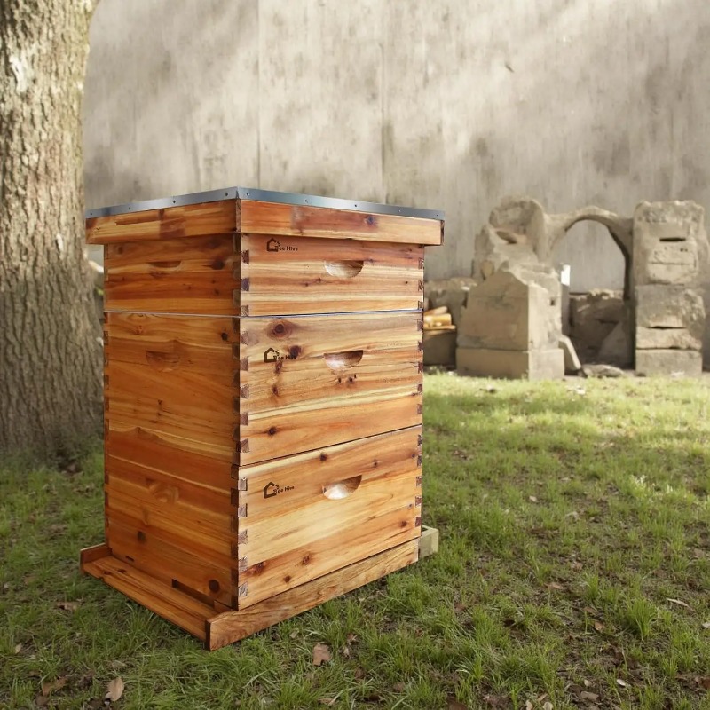 Beehive Frame Wax - 10-raams complete bijenkastset, wasbehandelde bijenkasten voor