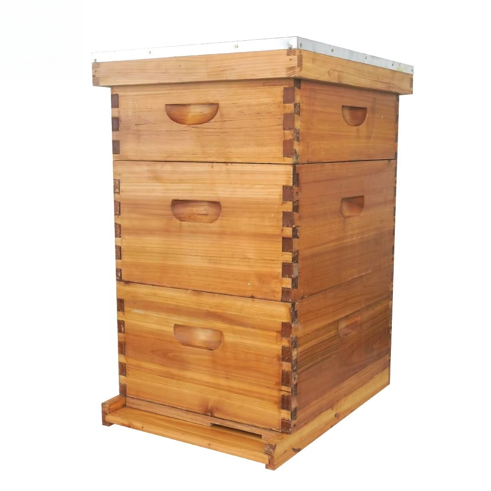 Beehive Frame Wax - Complete 3-laags met was bedekte bijenkast