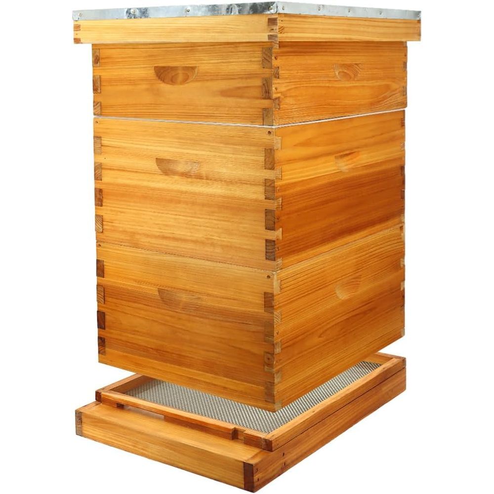 Beehive Frame Wax - 10-raams bijenkastset met gewaxte bodemplaat, inclusief