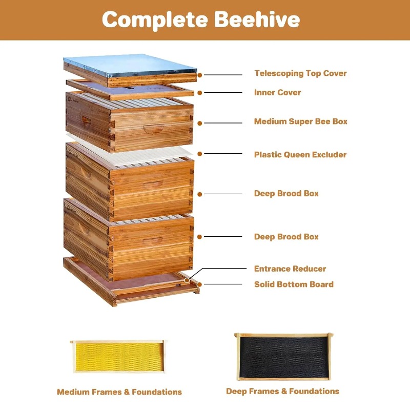 10-raams complete bijenkastset - Beehive Frame Wax recensie en prijs
