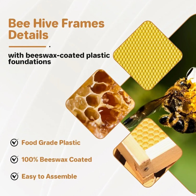 10-raams complete bijenkastset - Beehive Frame Wax recensie en prijs